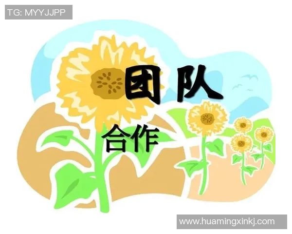 广州篮球队阵地战革新探索：战术创新与团队协作的完美结合